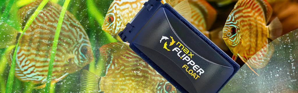 Flipper Max Float Magnetic Aquarium Cleaner