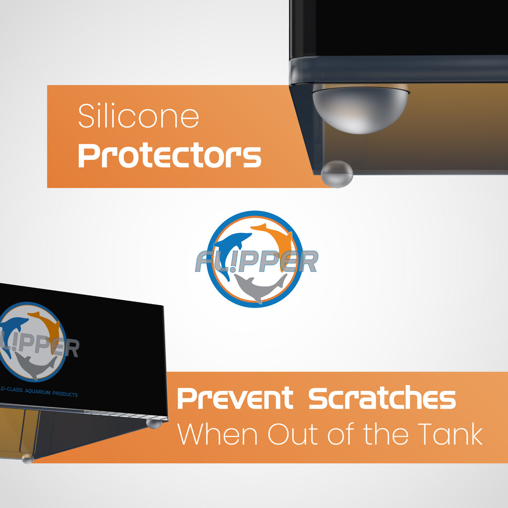 Flipper Top Down Aquarium Viewer with Removable Orange Filter and Clownfish Artwork