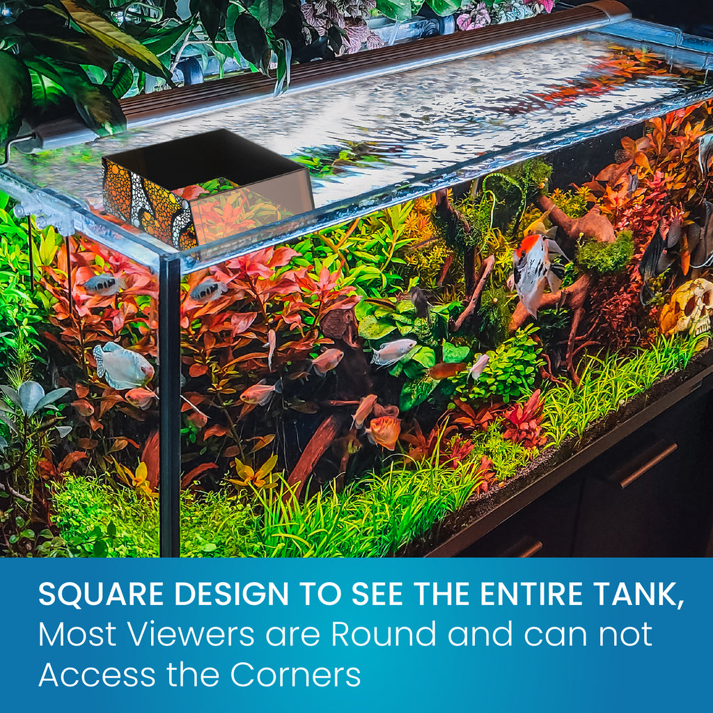 Flipper Top Down Aquarium Viewer with Removable Orange Filter and Clownfish Artwork