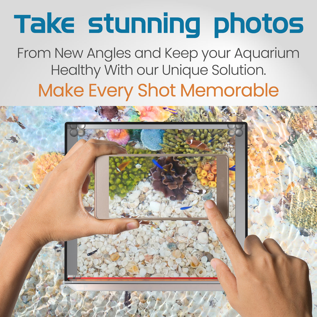 Flipper Top Down Aquarium Viewer with Removable Orange Filter and Clownfish Artwork