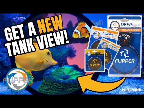 Flipper DeepSee 4" Magnified Viewer for Aquarium Viewing